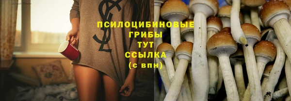 а пвп мука Ветлуга