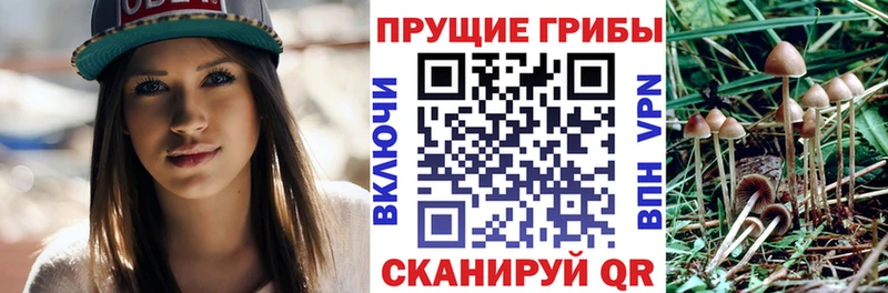 Псилоцибиновые грибы Psilocybine cubensis  hydra   дарк нет клад  что такое наркотик  Псков 