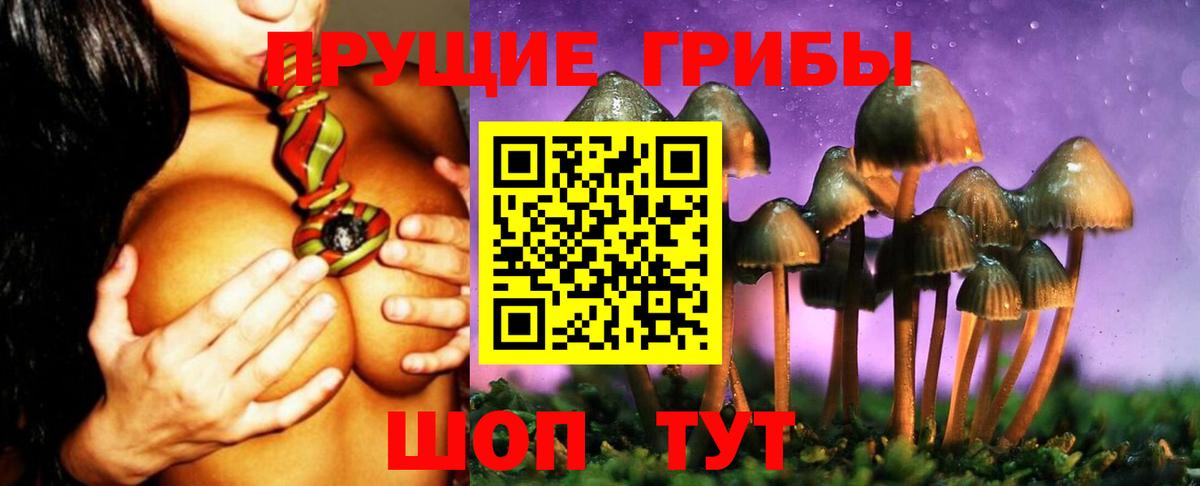 Галлюциногенные грибы GOLDEN TEACHER Псков