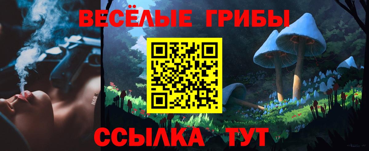 Галлюциногенные грибы прущие грибы  Вход с VPN  Псков 
